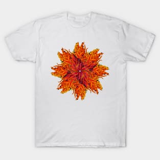 Circle Abstraction Pattern T-Shirt